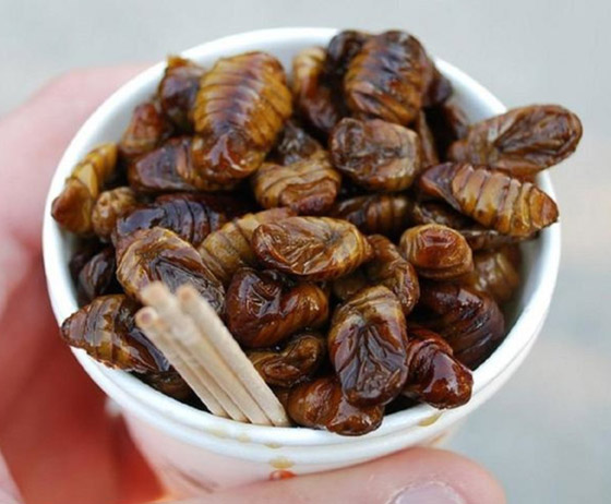 بعضها مقزز.. إليكم أغرب 15 نوعا من الأطعمة حول العالم صورة رقم 4