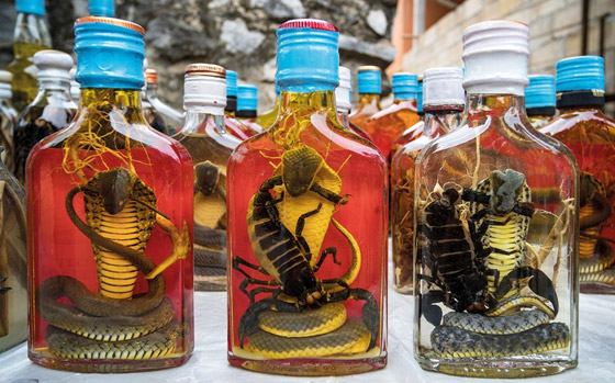 بعضها مقزز.. إليكم أغرب 15 نوعا من الأطعمة حول العالم صورة رقم 15