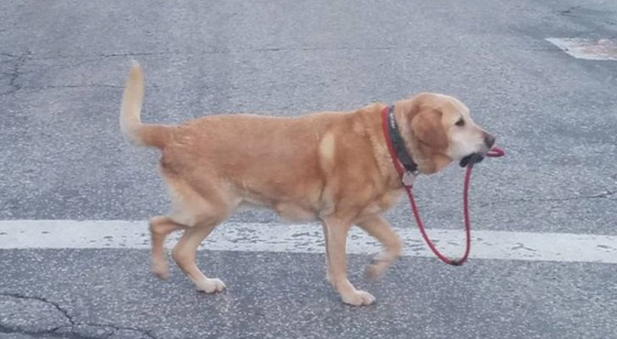 عندما تقرر الطبيعة أن تضحك لك ستكون هذه النتيجة: لقطات مليئة بالبهجة صورة رقم 3