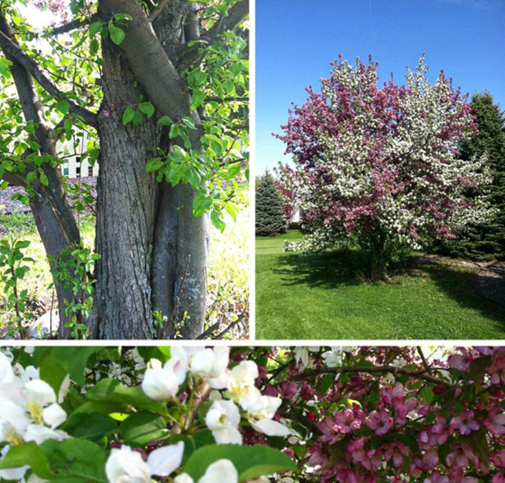 عندما تقرر الطبيعة أن تضحك لك ستكون هذه النتيجة: لقطات مليئة بالبهجة صورة رقم 4