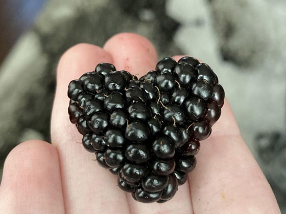 عندما تقرر الطبيعة أن تضحك لك ستكون هذه النتيجة: لقطات مليئة بالبهجة صورة رقم 1