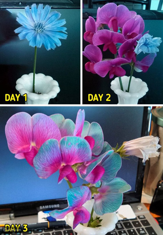 عندما تقرر الطبيعة أن تضحك لك ستكون هذه النتيجة: لقطات مليئة بالبهجة صورة رقم 9