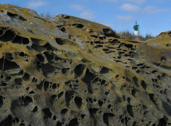 دخولها يحتاج لإذن رسمي من الحكومة.. تعرفوا على أخطر جزيرة في العالم صورة رقم 12