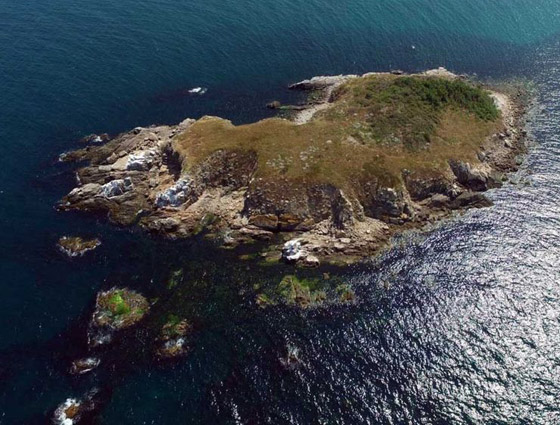 دخولها يحتاج لإذن رسمي من الحكومة.. تعرفوا على أخطر جزيرة في العالم صورة رقم 16