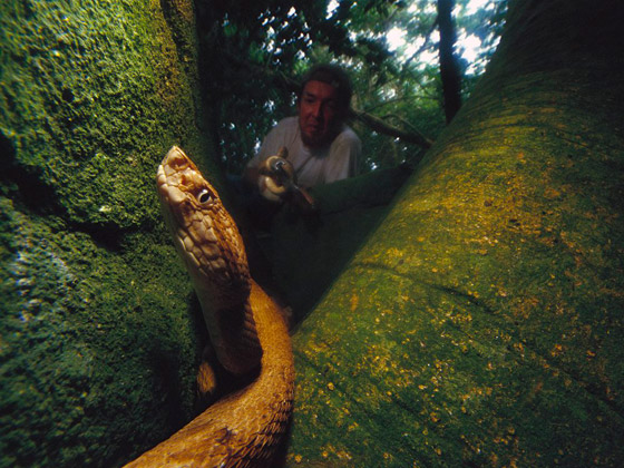 دخولها يحتاج لإذن رسمي من الحكومة.. تعرفوا على أخطر جزيرة في العالم صورة رقم 18