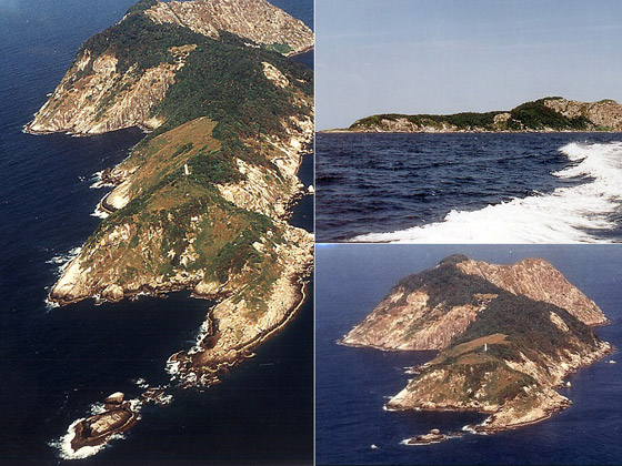 دخولها يحتاج لإذن رسمي من الحكومة.. تعرفوا على أخطر جزيرة في العالم صورة رقم 19