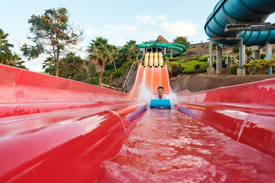 أغرب الوظائف حول العالم: بعضها صادم ولن تصدقوا أنها موجودة بالفعل! صورة رقم 6