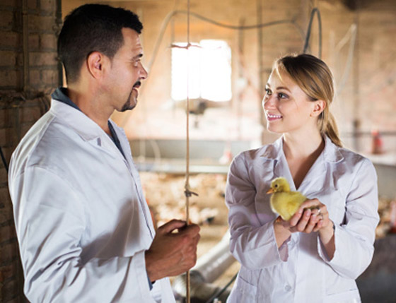 أغرب الوظائف حول العالم: بعضها صادم ولن تصدقوا أنها موجودة بالفعل! صورة رقم 8