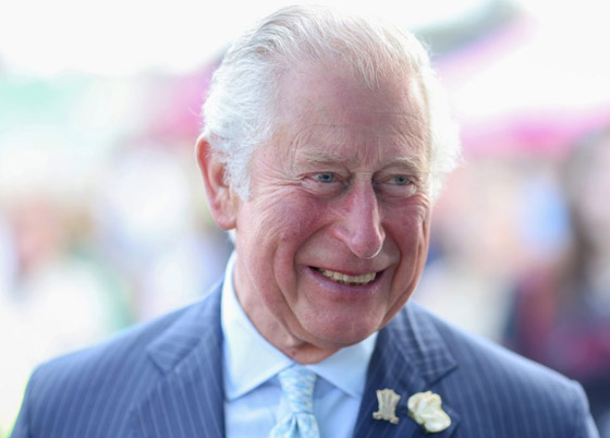 ولي العهد البريطاني يكشف أن سيارته القديمة تعمل بالنبيذ الأبيض والجبن! صورة رقم 11