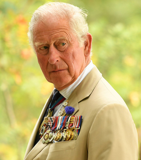 ولي العهد البريطاني يكشف أن سيارته القديمة تعمل بالنبيذ الأبيض والجبن! صورة رقم 14