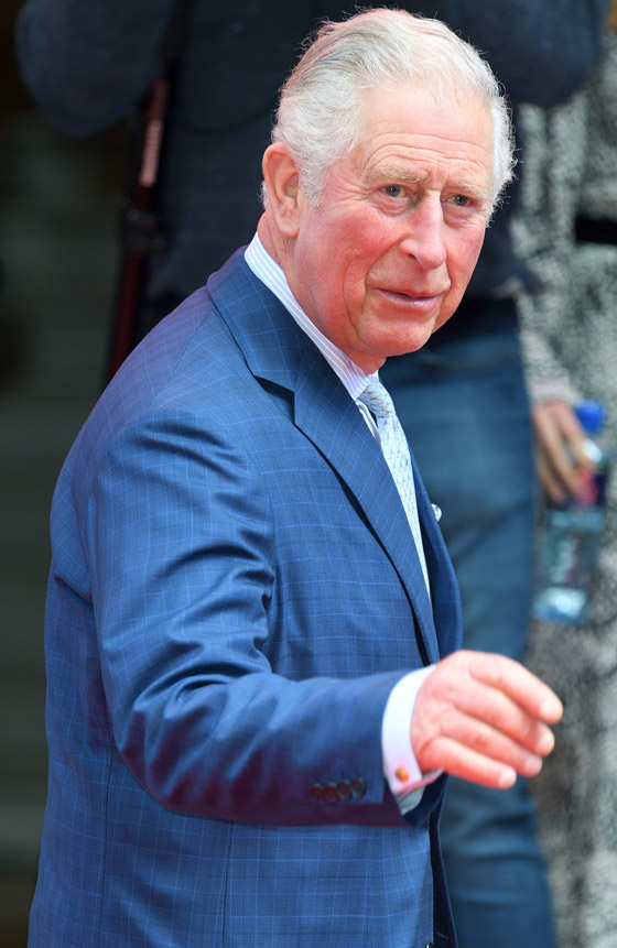 ولي العهد البريطاني يكشف أن سيارته القديمة تعمل بالنبيذ الأبيض والجبن! صورة رقم 15