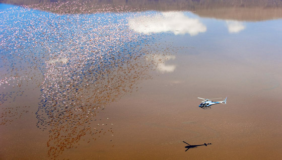 بالصور: إليكم مواقع تراثية عالمية خلابة يجب زيارتها مرة في العمر صورة رقم 2