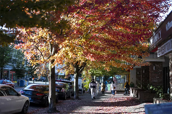 بالصور: مناظر خريفية خلابة في مختلف المدن حول العالم صورة رقم 8