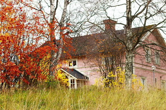 بالصور: مناظر خريفية خلابة في مختلف المدن حول العالم صورة رقم 12