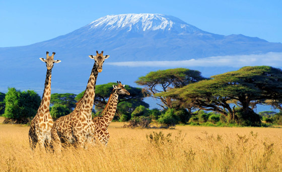 لمحبي السير في الطبيعة.. إليكم أفضل المسارات الخلابة في العالم صورة رقم 4