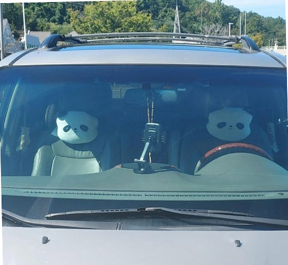 صور من حول العالم عليك التدقيق بها مرتين لتصدق ما ستشاهده صورة رقم 1