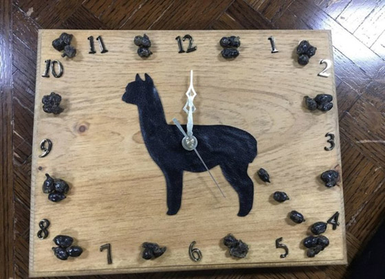 صور من حول العالم عليك التدقيق بها مرتين لتصدق ما ستشاهده صورة رقم 7