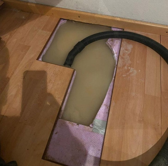 صور من حول العالم عليك التدقيق بها مرتين لتصدق ما ستشاهده صورة رقم 9