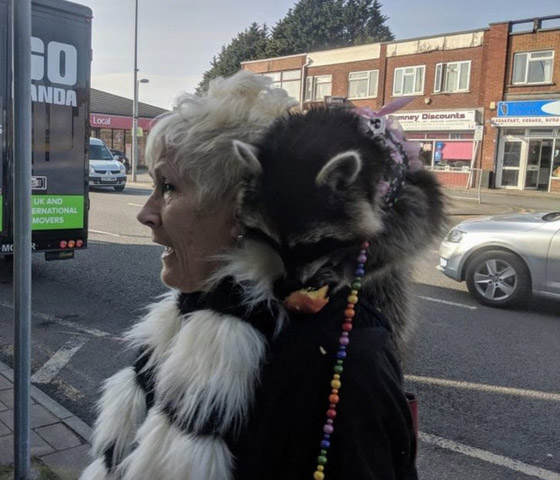 صور من حول العالم عليك التدقيق بها مرتين لتصدق ما ستشاهده صورة رقم 13