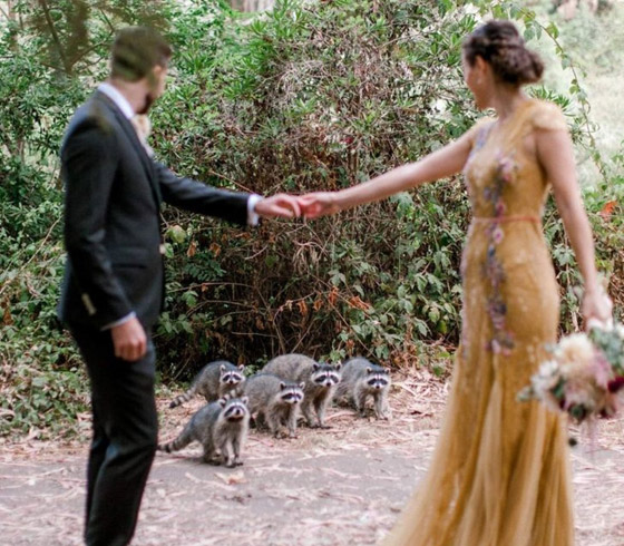 هؤلاء الأشخاص قرروا الخروج عن المألوف في حفل زفافهم: لقطات مبهجة صورة رقم 14