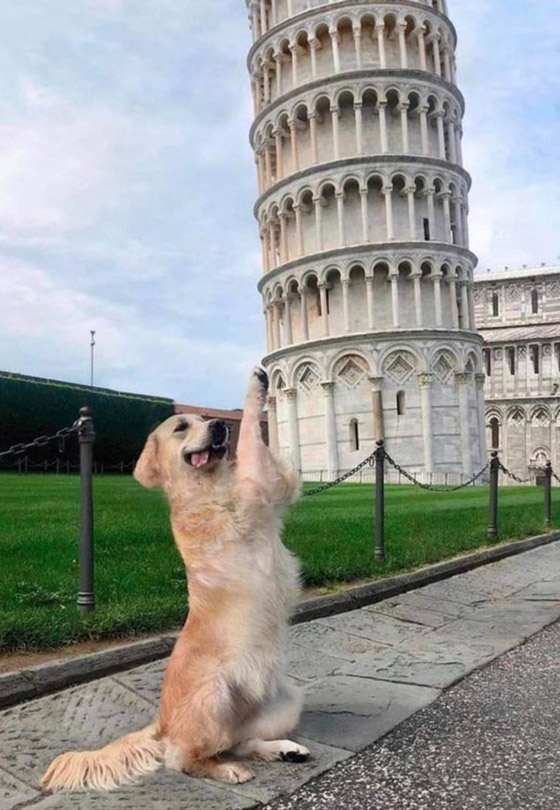 لقطات طريفة سترسم الابتسامة على وجهك: عليك بمشاهدتها صورة رقم 7