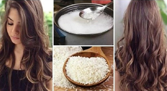 ماء الأرز مهم لصحة الإنسان.. تعرف على 5 فوائد ماء الأرز مهم لصحة الإنسان.. تعرف على 5 فوائد