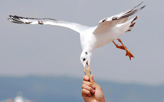 أغرب غرامات حول العالم: استخدام فيسبوك يغرمك 149 دولار في الصين صورة رقم 3