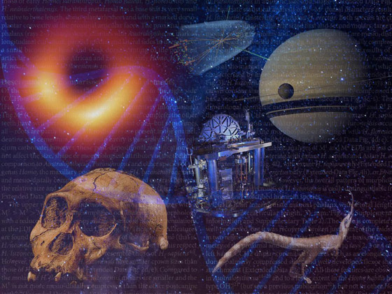 هل سألتم نفسكم لماذا ننام؟.. إليكم 10 ألغاز علمية محيرة لم يستطع أحد حلها صورة رقم 5