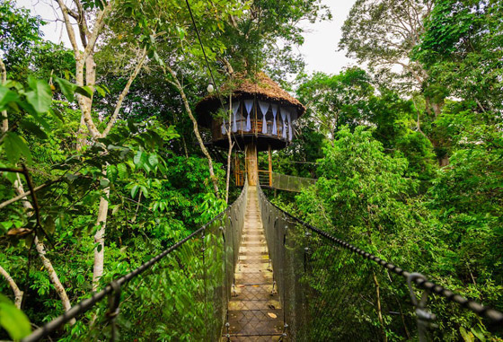 مليون دولار للمبيت ليلة واحدة بأحدها! إليكم أغلى وأغرب الفنادق بالعالم صورة رقم 14