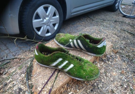 عندما تتناسق ملابسك مع الأشياء المتواجدة حولك ستكون النتيجة كوميدية صورة رقم 4