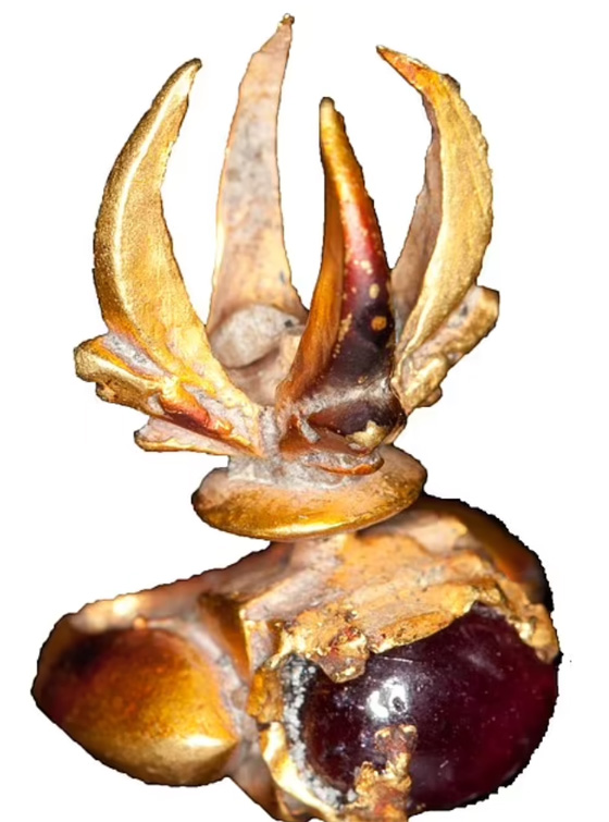 صياد يعثر على جزيرة مليئة بالذهب اختفى منذ 700 سنة! صورة رقم 9