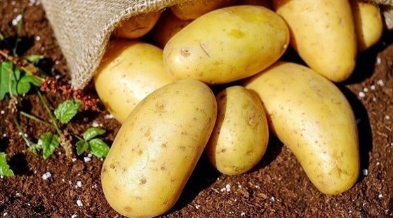 حليب البطاطس سيكون أحد أكبر اتجاهات الغذاء في عام 2022 صورة رقم 3