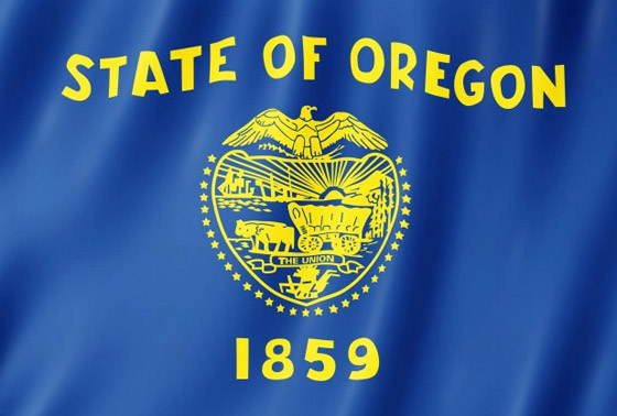 بعضها استمر لأيام فقط.. ولايات ومدن أمريكية أعلنت إقامة جمهوريات مستقلة صورة رقم 7