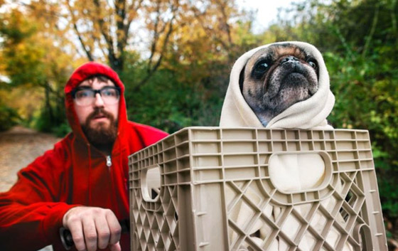 احتفالات الهالوين: صور ترصد أغرب وأطرف الأزياء حول العالم صورة رقم 17