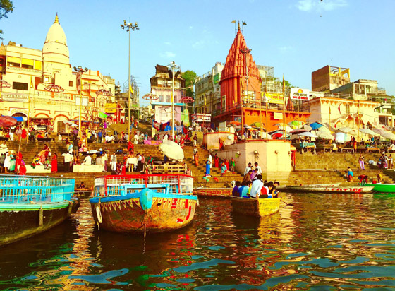 تعرفوا على المدينة التي يُحظر فيها تناول اللحوم: أرواحنا ستعاني كالحيوانات صورة رقم 7