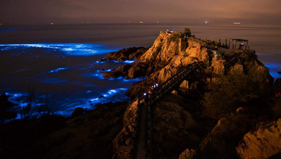 بالصور: أفضل الأماكن في العالم لمشاهدة التلألؤ البيولوجي الساحر صورة رقم 5 بالصور: أفضل الأماكن في العالم لمشاهدة التلألؤ البيولوجي الساحر صورة رقم 5