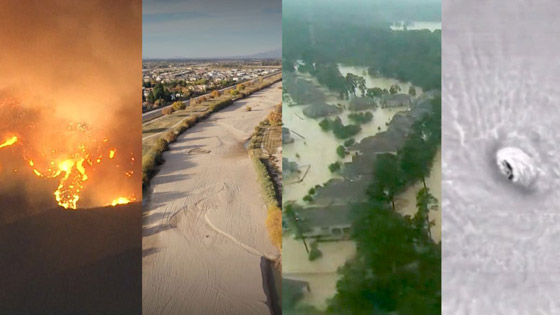 التغيّر المناخي يهدد 48 منطقة بالعالم.. هل تتكيّف الحيوانات مع المناخ الجديد؟ صورة رقم 4 التغيّر المناخي يهدد 48 منطقة بالعالم.. هل تتكيّف الحيوانات مع المناخ الجديد؟ صورة رقم 4