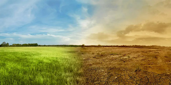 التغيّر المناخي يهدد 48 منطقة بالعالم.. هل تتكيّف الحيوانات مع المناخ الجديد؟ صورة رقم 5 التغيّر المناخي يهدد 48 منطقة بالعالم.. هل تتكيّف الحيوانات مع المناخ الجديد؟ صورة رقم 5