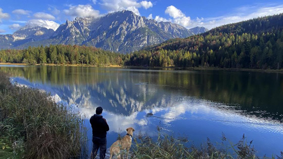 ألمانيا الدولة الأفضل سمعة في العالم.. بريطانيا تتراجع وأمريكا تتقدم صورة رقم 2