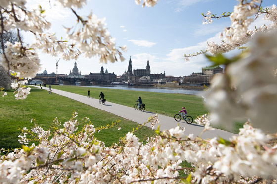 ألمانيا الدولة الأفضل سمعة في العالم.. بريطانيا تتراجع وأمريكا تتقدم صورة رقم 4