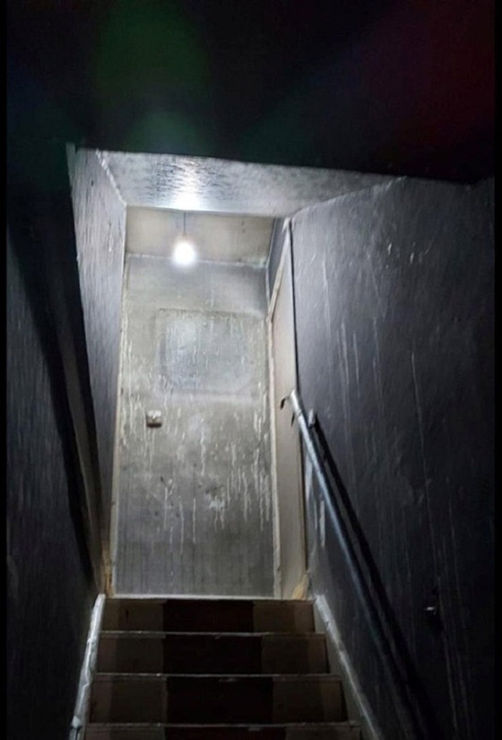 ينجو من الموت حرقاً بفضل قطته الشجاعة صورة رقم 2