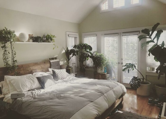 منازل ستحلم بالسكن فيها.. ستشعر بالاسترخاء عند مشاهدة الصور صورة رقم 11