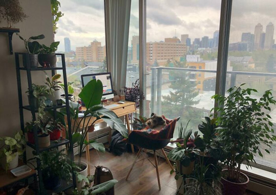 منازل ستحلم بالسكن فيها.. ستشعر بالاسترخاء عند مشاهدة الصور صورة رقم 14