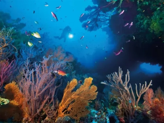 بالصور: تعرفوا إلى 8 من أكبر المحميات الطبيعية الجميلة في العالم صورة رقم 2