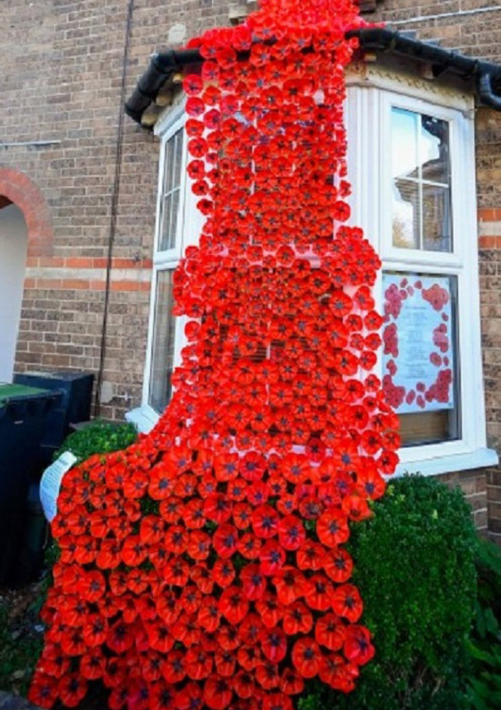 زهور مدهشة من قوارير بلاستيكية صورة رقم 3