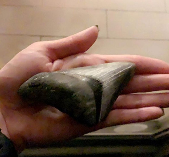 اليكم 16 لقطة مدهشة من الطبيعة ليس لها تفسير صورة رقم 3