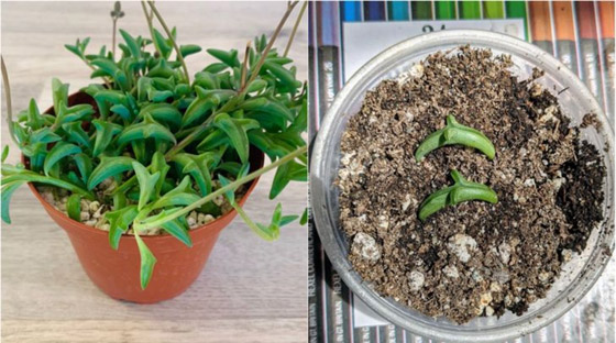 اليكم 16 لقطة مدهشة من الطبيعة ليس لها تفسير صورة رقم 8