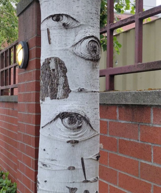 اليكم 16 لقطة مدهشة من الطبيعة ليس لها تفسير صورة رقم 9