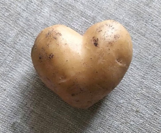 اليكم 16 لقطة مدهشة من الطبيعة ليس لها تفسير صورة رقم 2