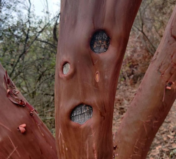 اليكم 16 لقطة مدهشة من الطبيعة ليس لها تفسير صورة رقم 14